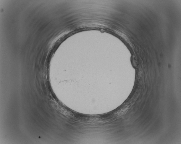 X0000062150979200601060944
