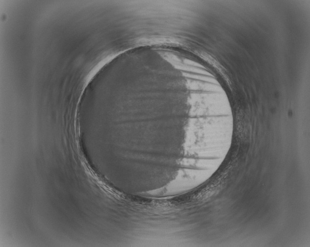 X0000062150983200601060944