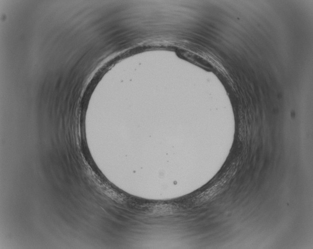 X0000062150984200601060944