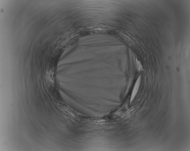 X0000062151010200601060943