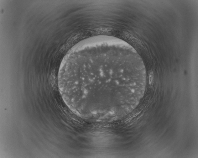 X0000062151011200601060943