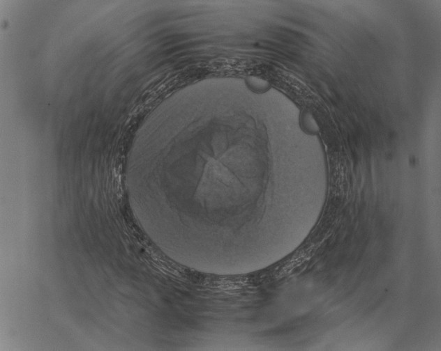 X0000062151013200601060943