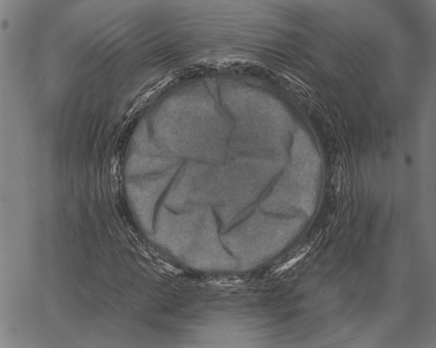 X0000062151014200601060943