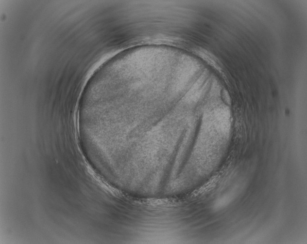 X0000062151032200601060943