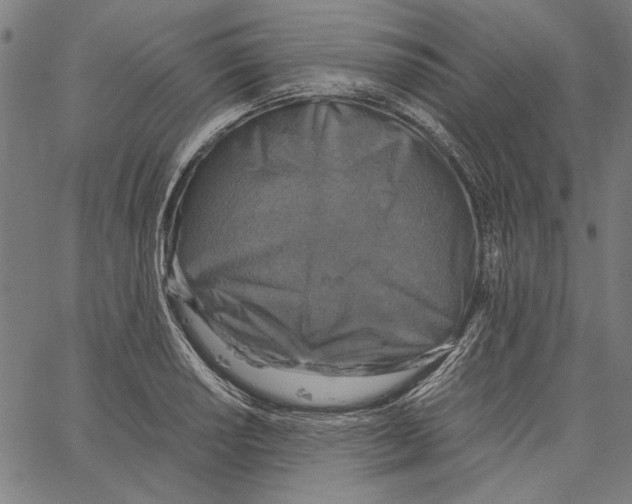 X0000062151034200601060943
