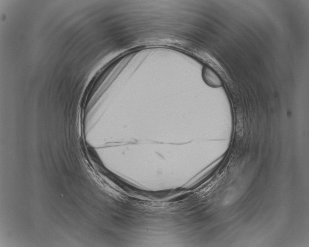 X0000062151036200601060944