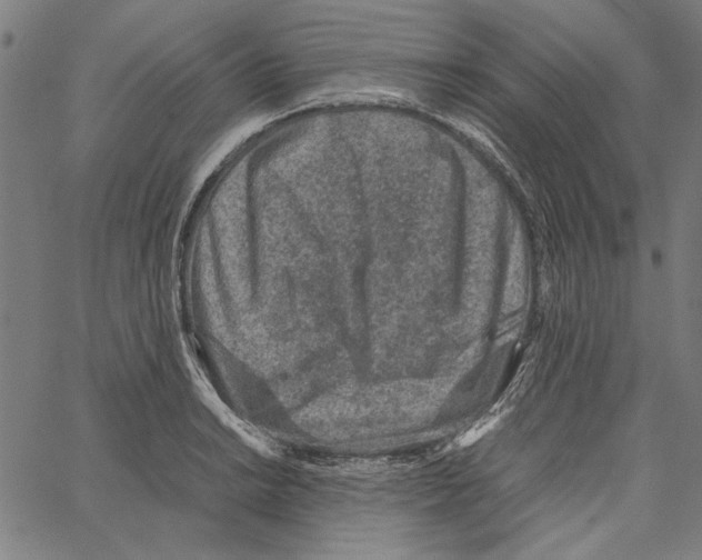 X0000062151038200601060944