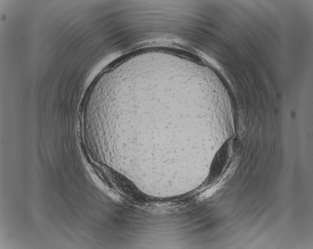X0000062151042200601060944