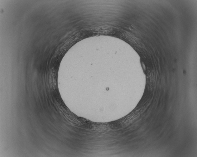 X0000062151058200601060943