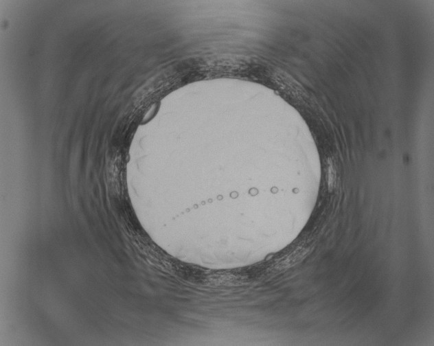 X0000062151059200601060943