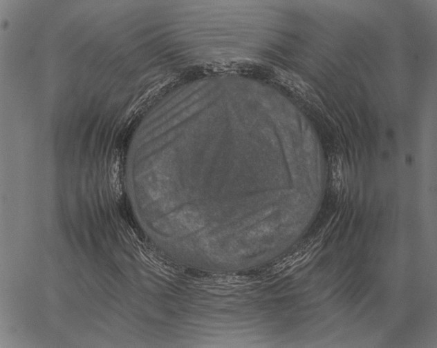 X0000062151060200601060943