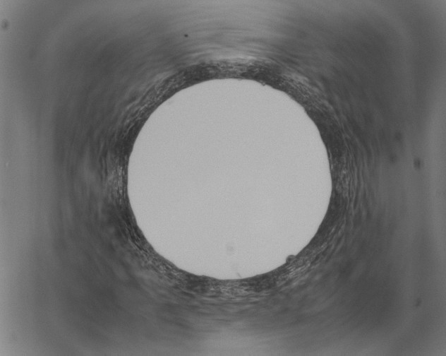 X0000062151061200601060943