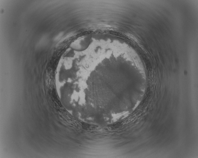 X0000062151063200601060943