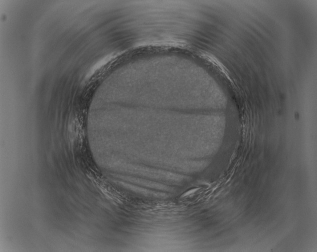 X0000062151064200601060943