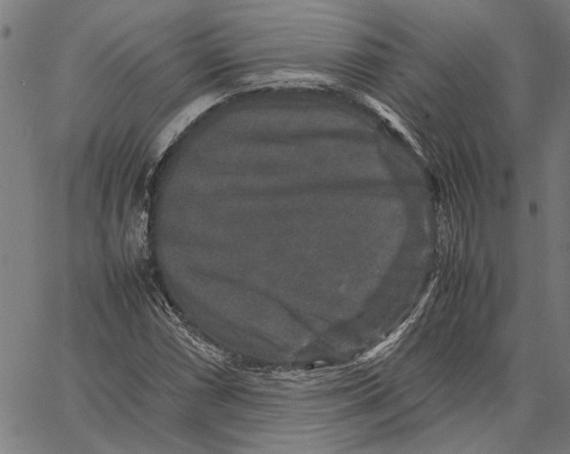 X0000062151066200601060943
