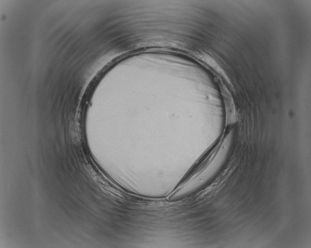 X0000062151068200601060943