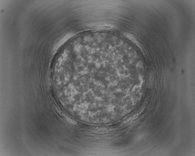 X0000062151071200601060943