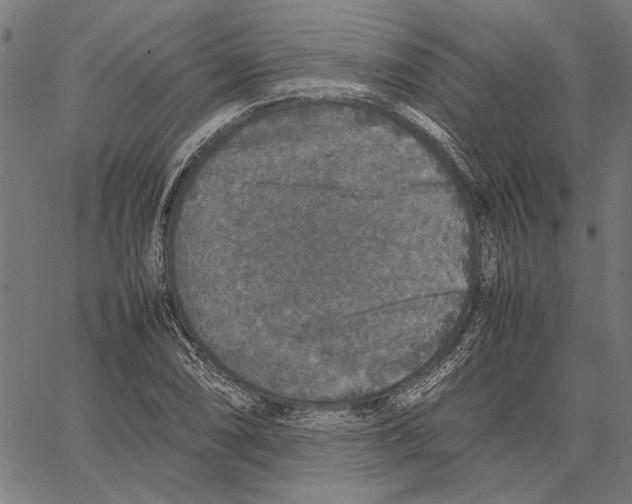 X0000062151074200601060943