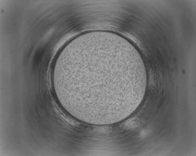 X0000062151078200601060943