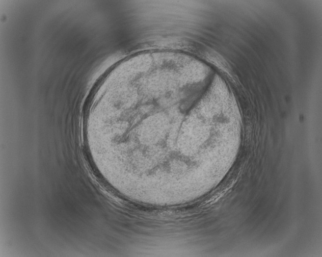 X0000062151079200601060943
