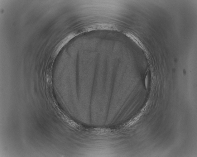 X0000062151081200601060943