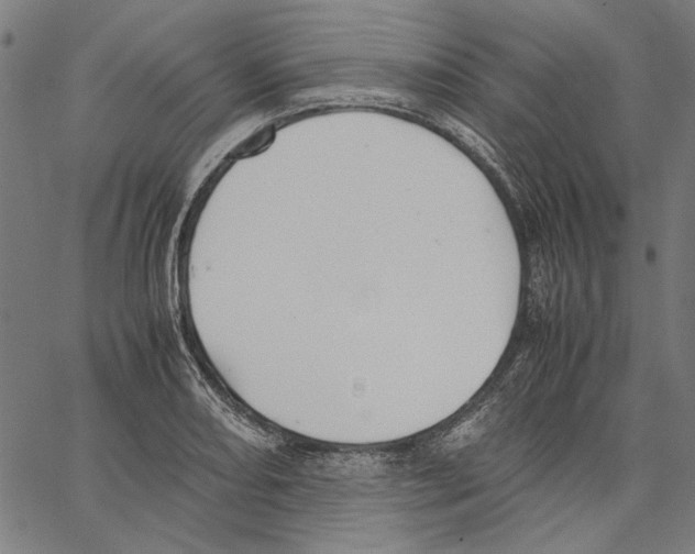 X0000062151082200601060943