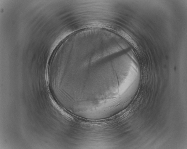 X0000062151084200601060943