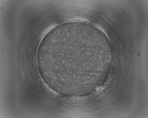X0000062151087200601060943