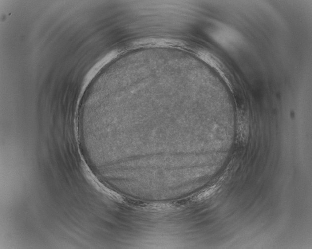 X0000062151090200601060942