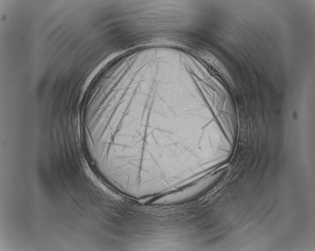 X0000062151092200601060942