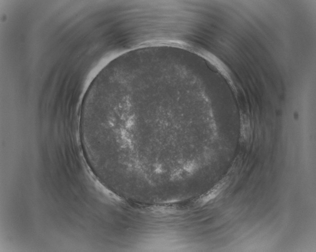 X0000062151102200601060942