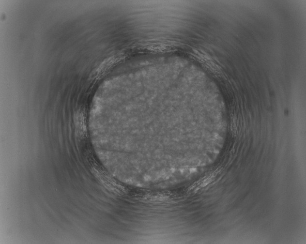 X0000062151106200601060941