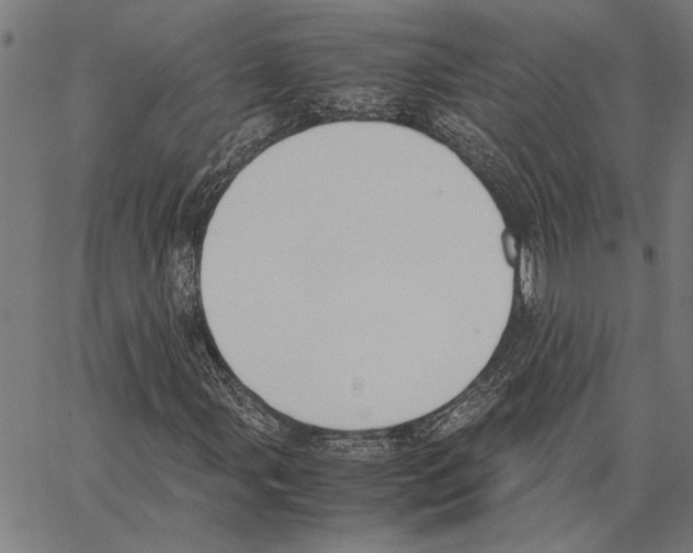 X0000062151107200601060941