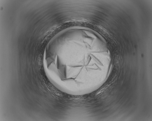 X0000062151110200601060942