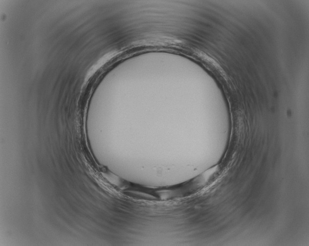 X0000062151114200601060942