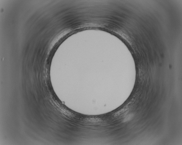 X0000062151119200601060942