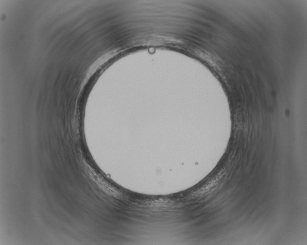 X0000062151122200601060942
