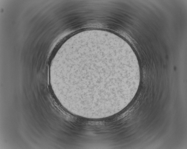 X0000062151123200601060942