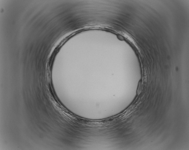 X0000062151124200601060942