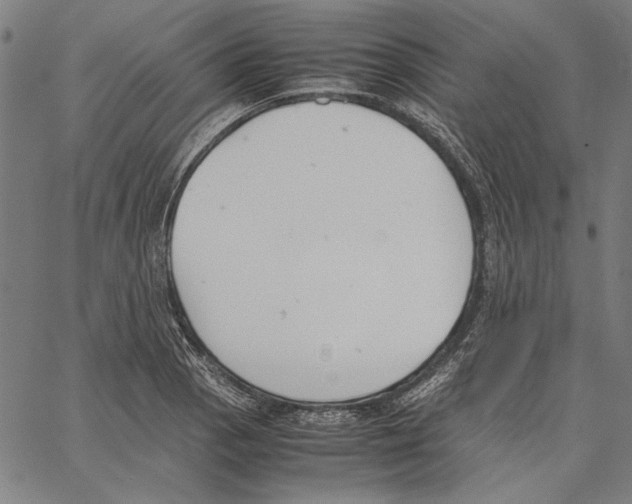 X0000062151129200601060942