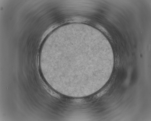 X0000062151130200601060942