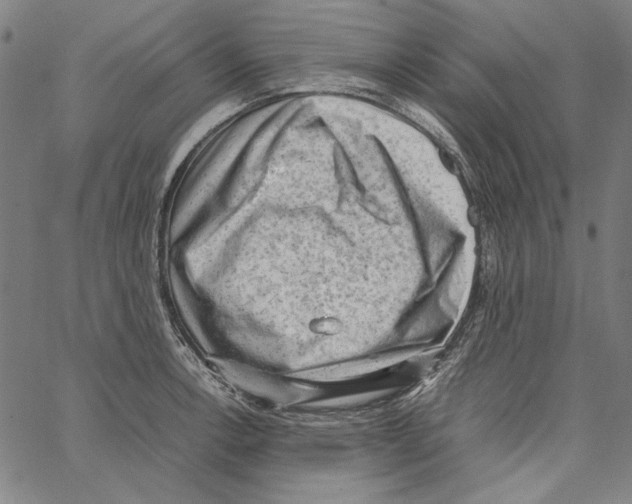 X0000062151138200601060942