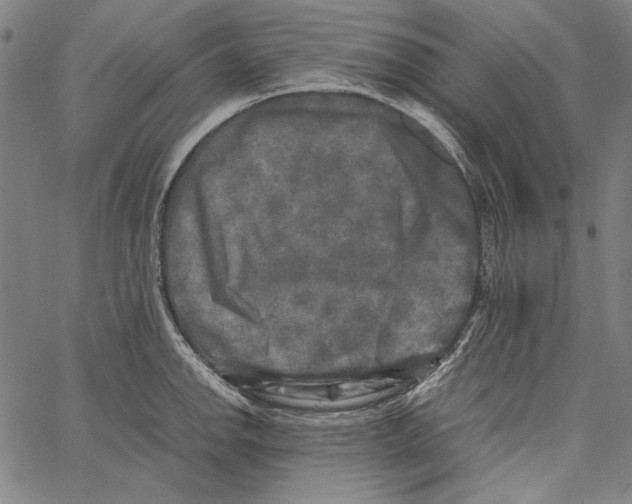X0000062151142200601060942