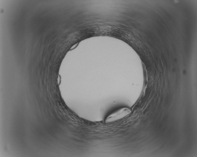 X0000062151153200601060941
