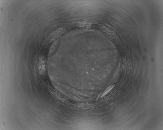 X0000062151154200601060941