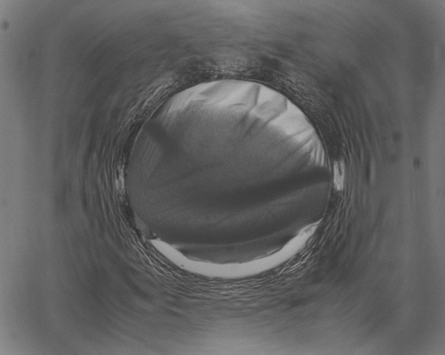 X0000062151155200601060941