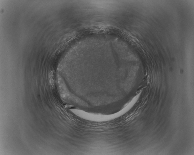 X0000062151156200601060941