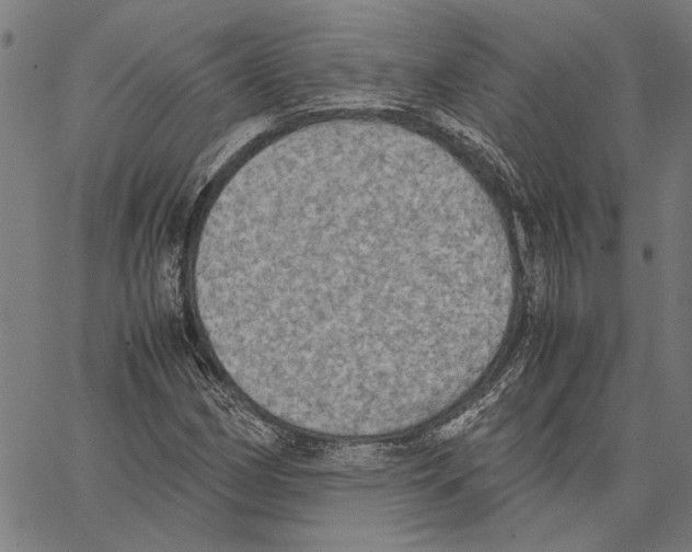 X0000062151162200601060941
