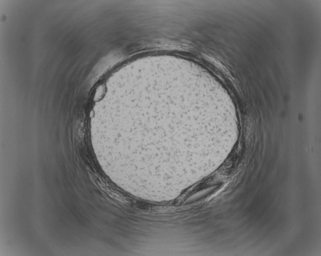 X0000062151163200601060941
