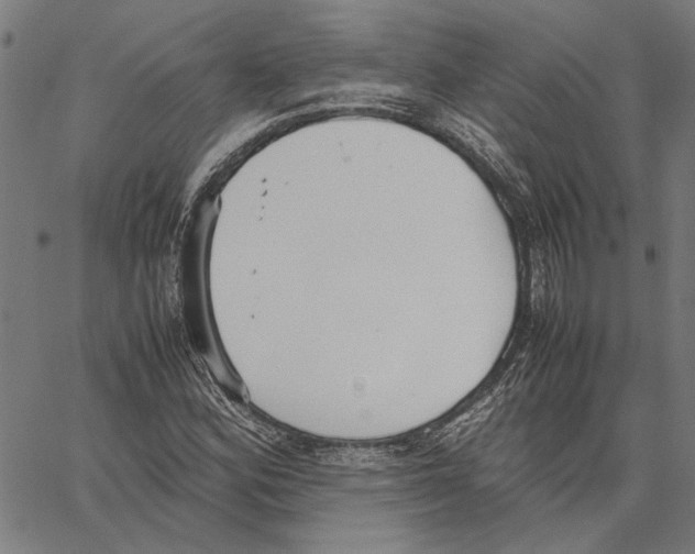 X0000062151164200601060941
